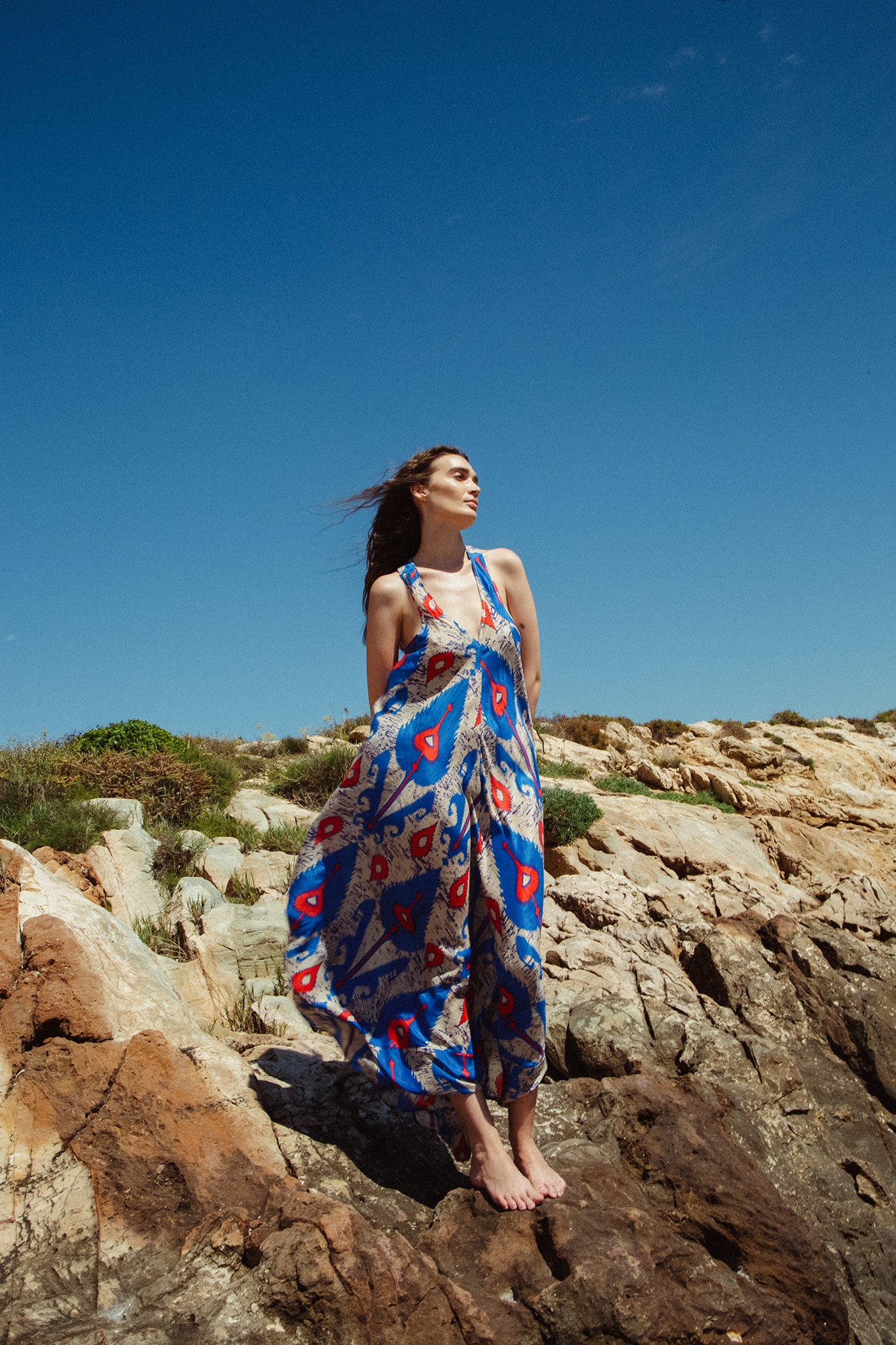 Emily dress