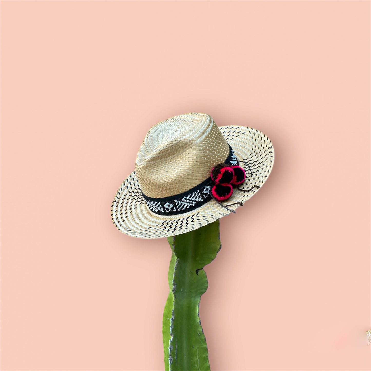 Guajira hat